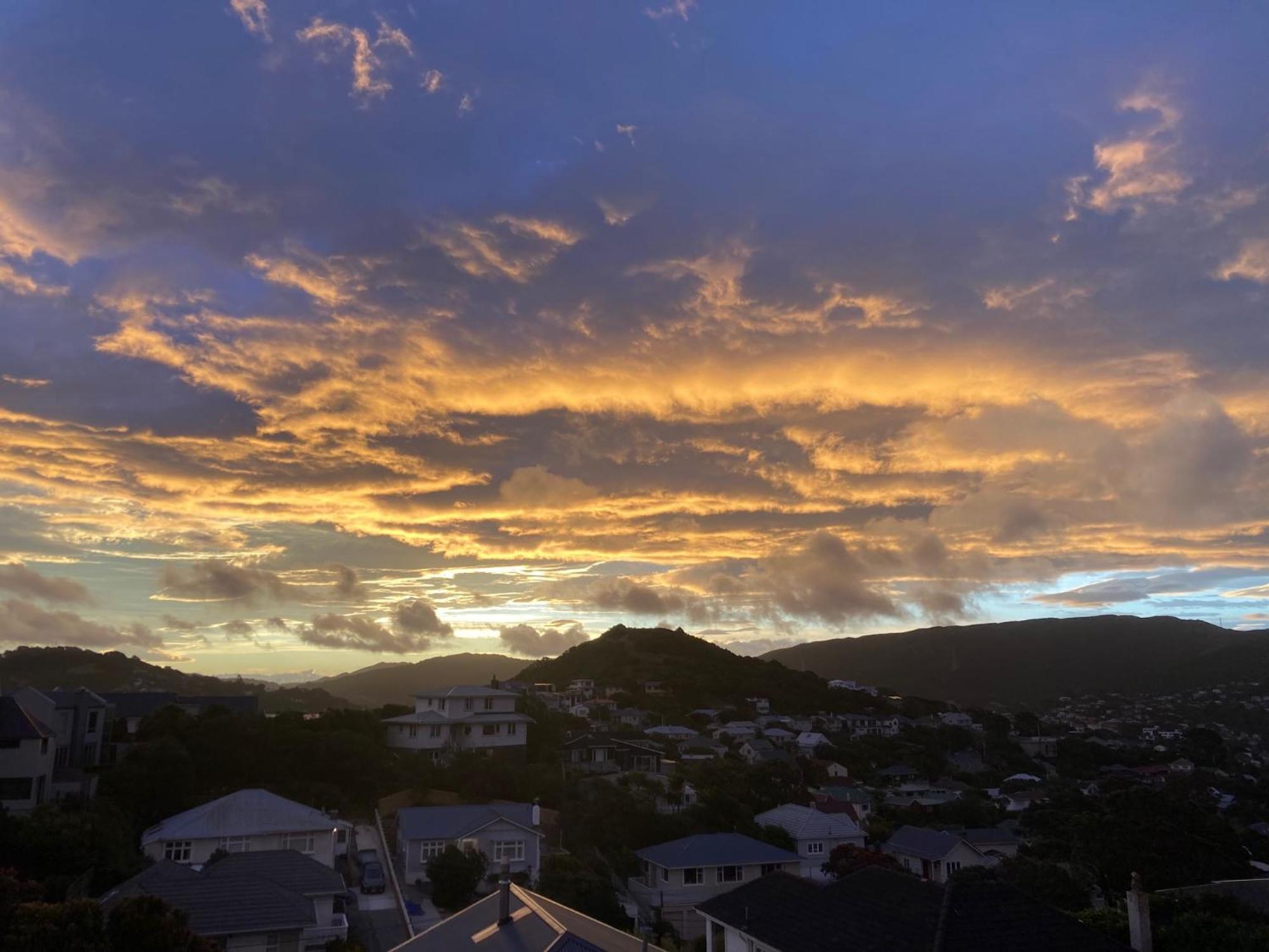 Khandallah Harbour View Bnb Wellington Kültér fotó